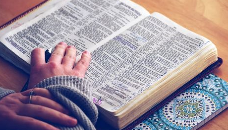 Walking in Faith: Stories of Transformation